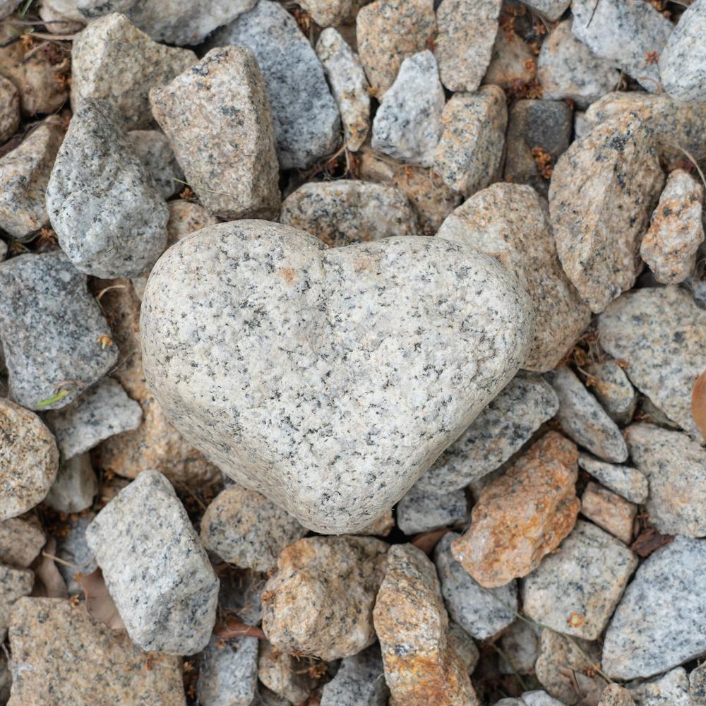 Hjärtformad sten bland andra stenar.